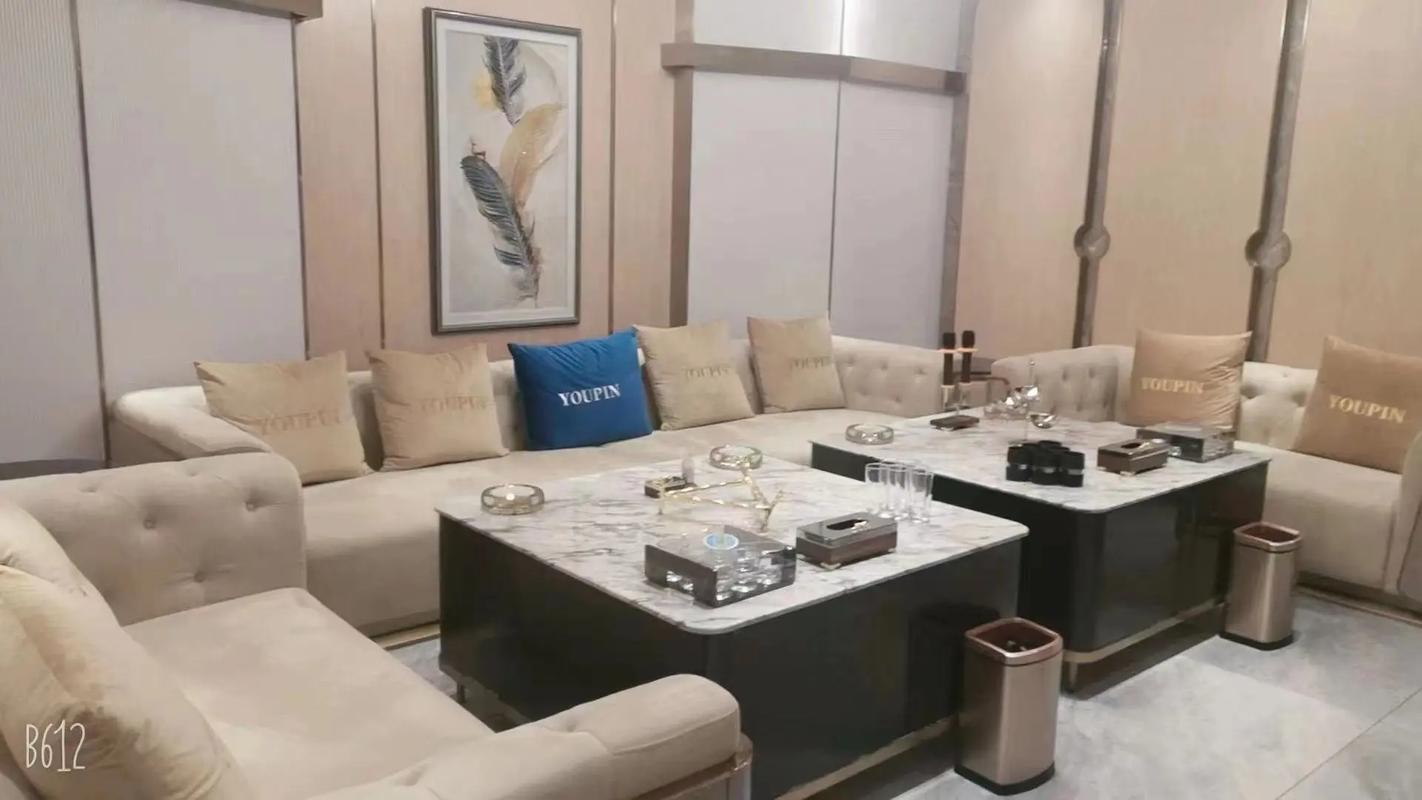 定西商务ktv哪里有商务ktv推荐-安定区ktv预定